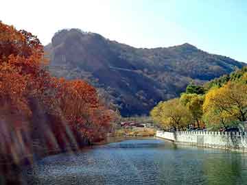 手写板价格，市场分析与购买指南